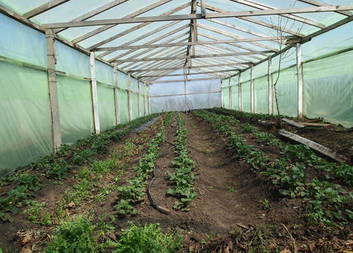 Development of organic farming in Moldova (2014)