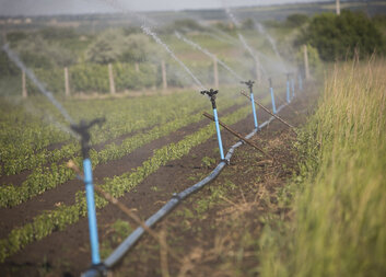 Cum își reduce Caritas amprenta asupra mediului