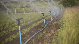 Cum își reduce Caritas amprenta asupra mediului