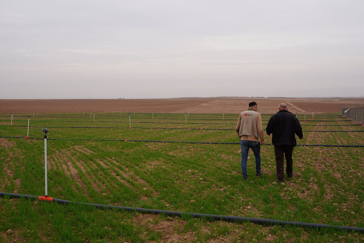 Irakul este afectat de mult timp de secetă extremă și de deșertificare Irakul este afectat de mult timp de secetă extremă și de deșertificare