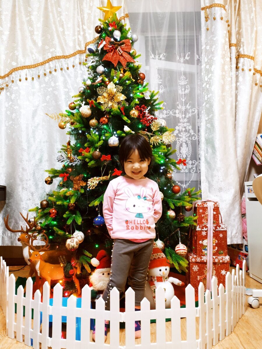 Mongolia – "Crăciunul" în Ajunul Anului Nou Mongolia – "Crăciunul" în Ajunul Anului Nou