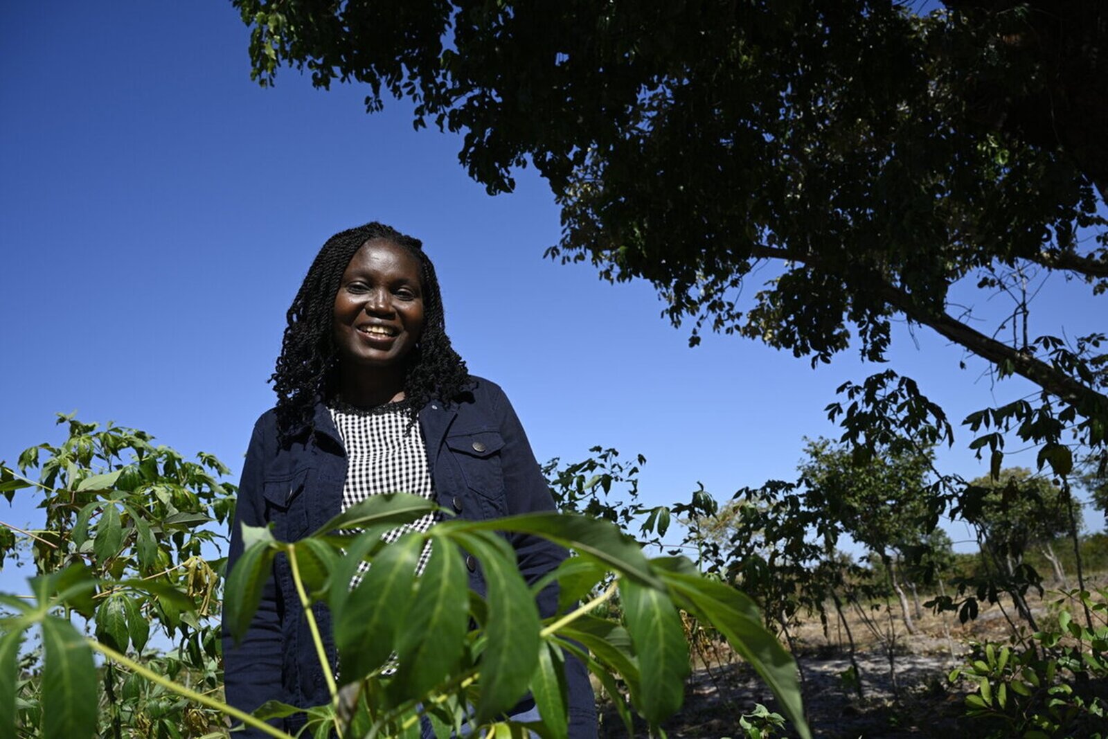 Fermierii învață cum să-și diversifice culturile