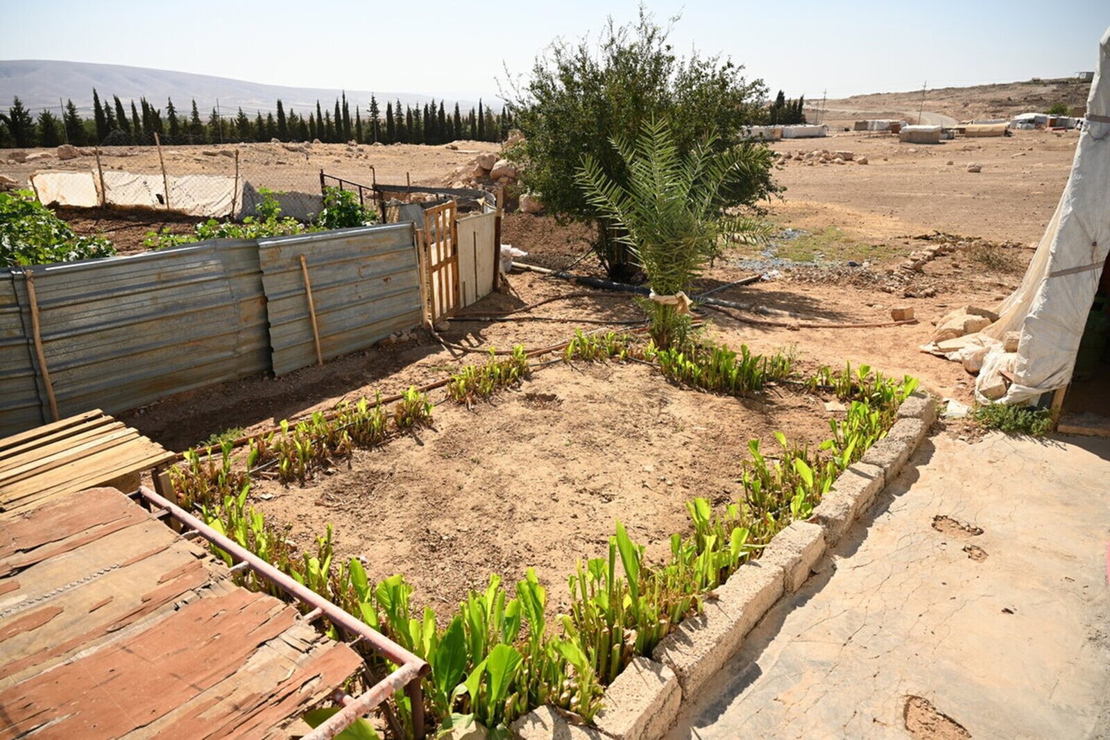 Scăderea activității agricole Scăderea activității agricole