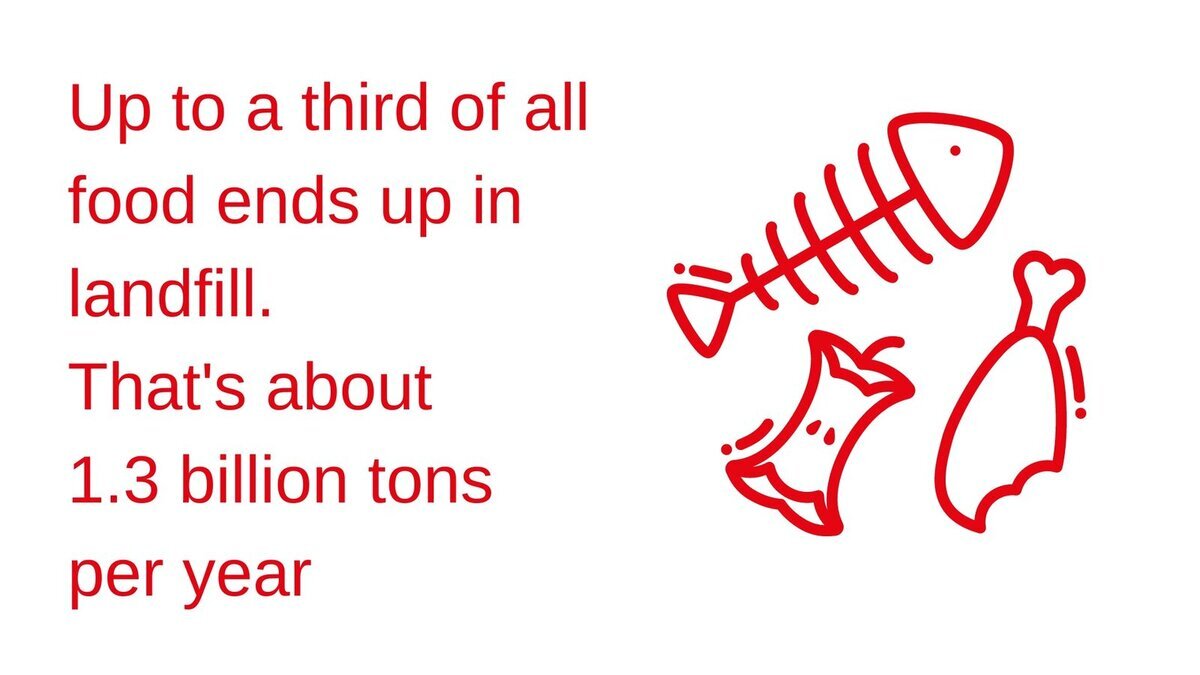 Nu risipiți alimentele