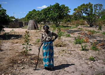 7 lucruri pe care s-ar putea să nu le știi despre schimbările climatice