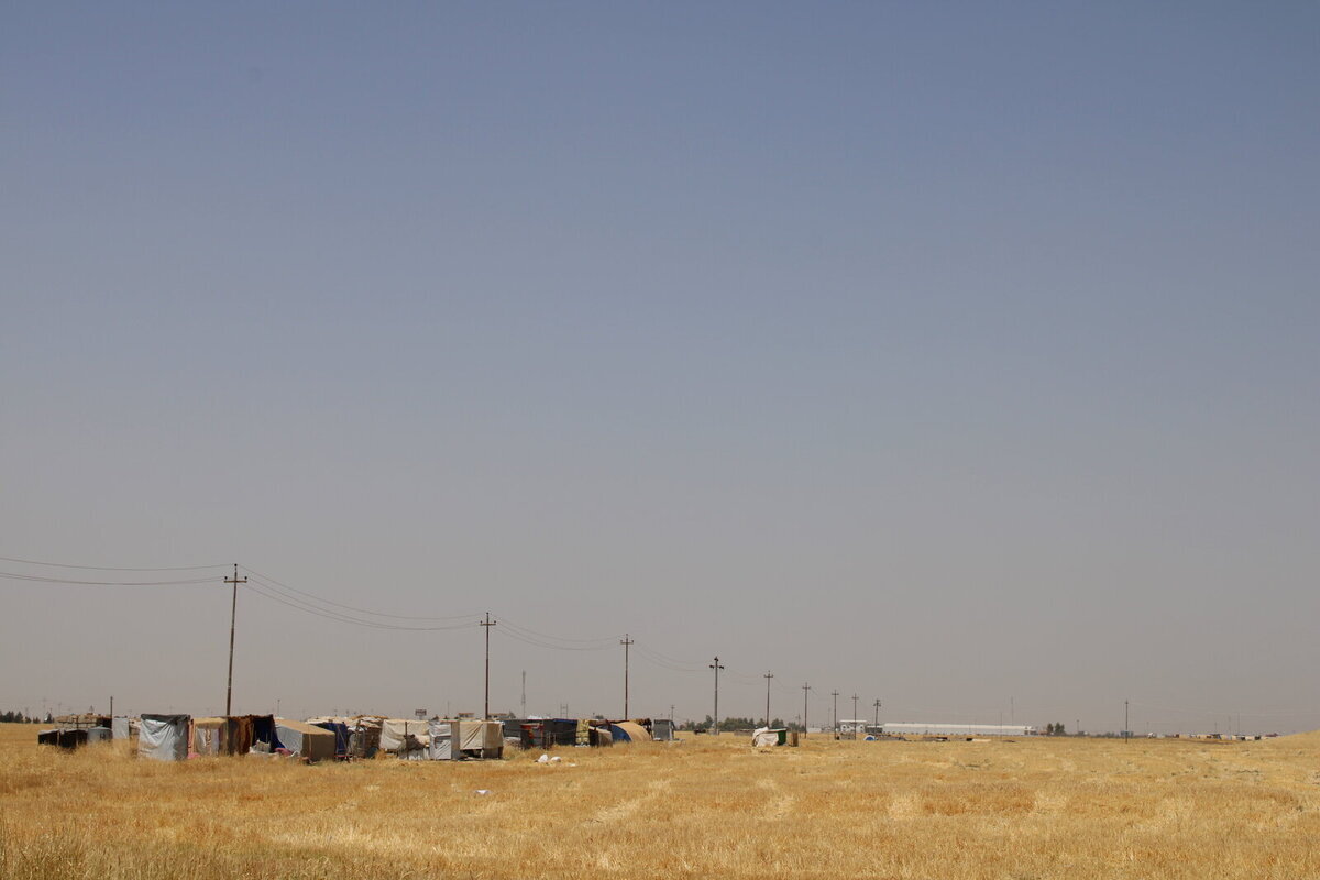 Influența schimbărilor climatice Influența schimbărilor climatice