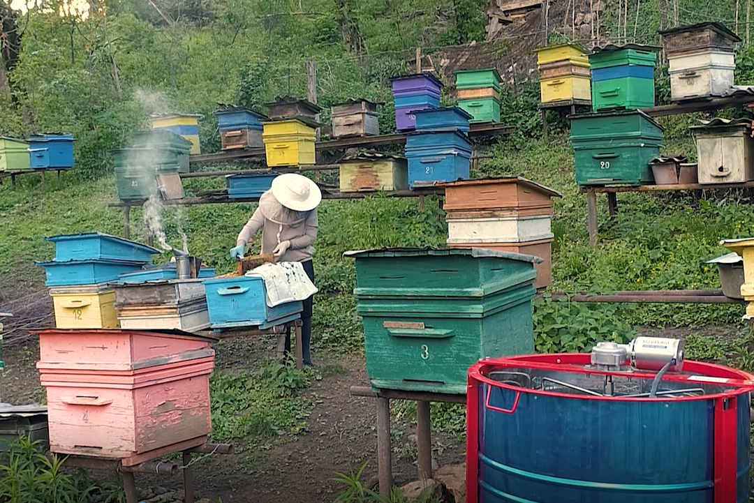 Nana Georgia Nana Georgia