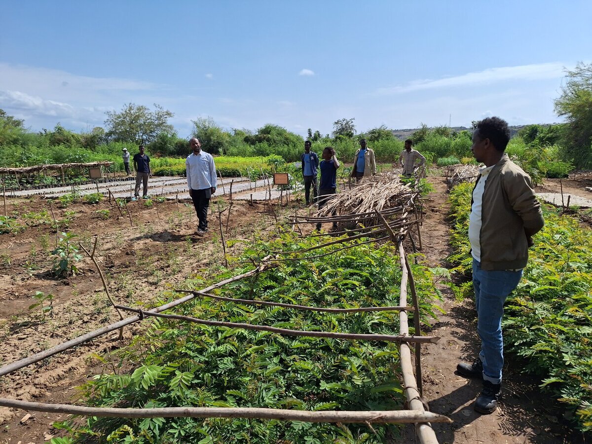 Fermierii își pierd grădinile din cauza condițiilor climaterice Fermierii își pierd grădinile din cauza condițiilor climaterice