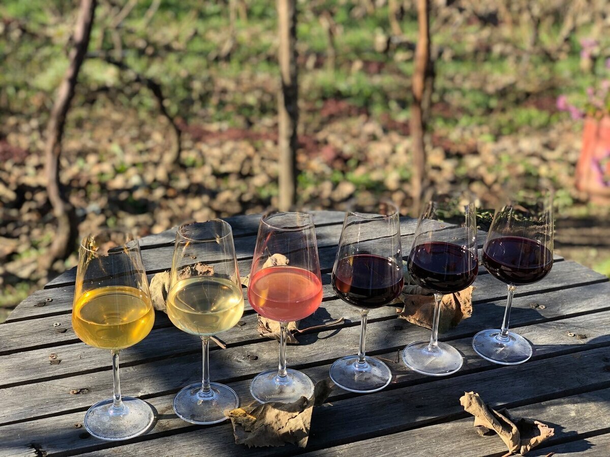 Georgia este cunoscută pentru varietatea de vinuri produse Georgia este cunoscută pentru varietatea de vinuri produse