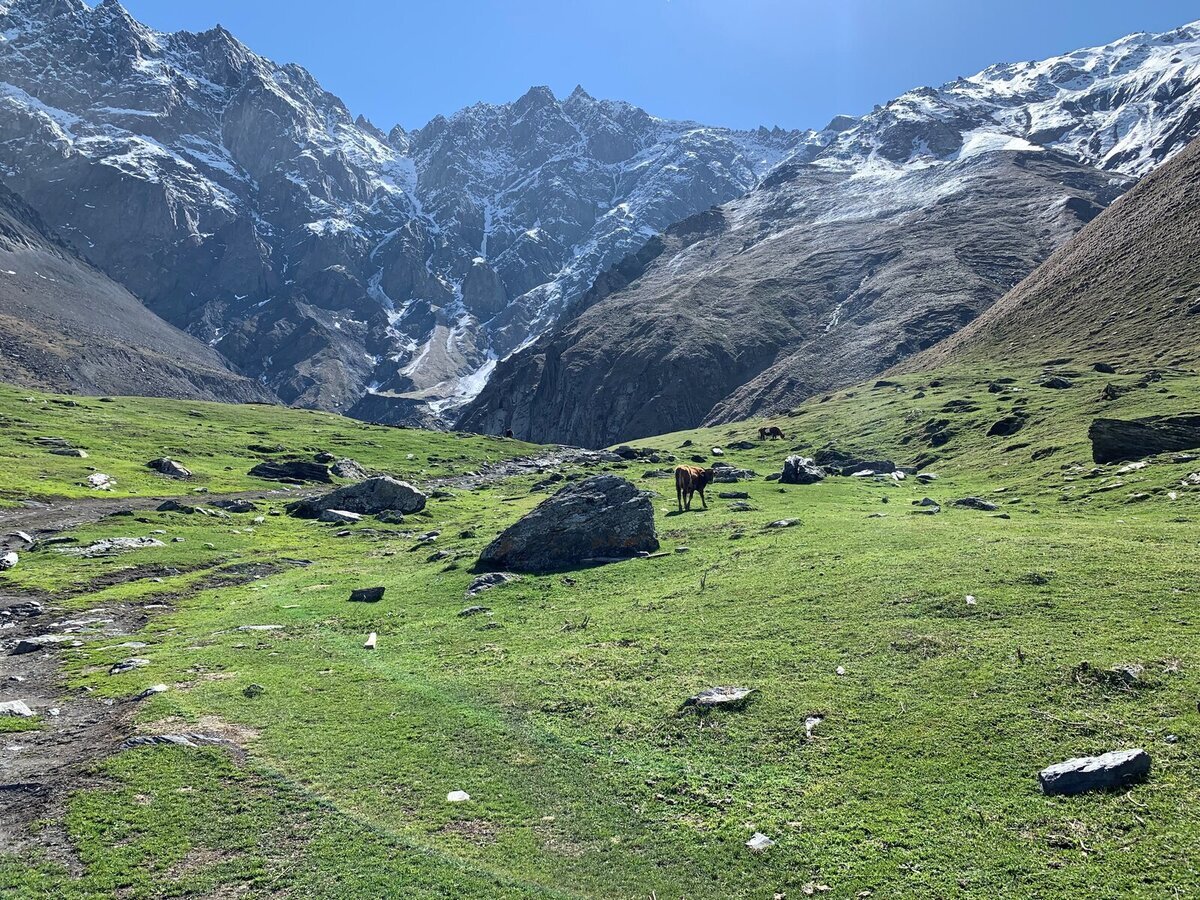 Natura Georgiei Natura Georgiei